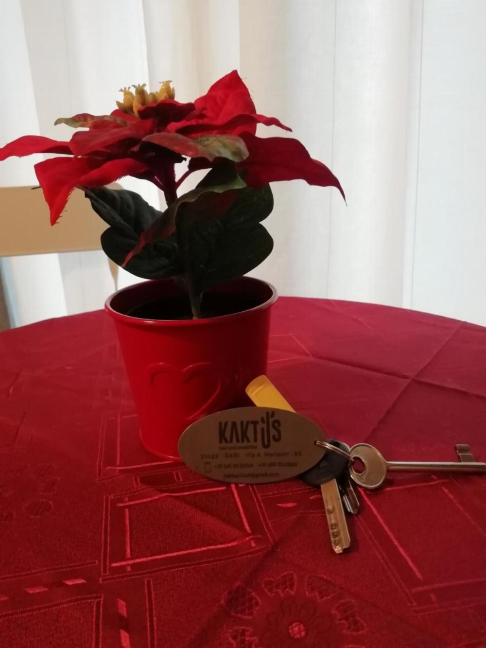 Kaktus B&B Image 33